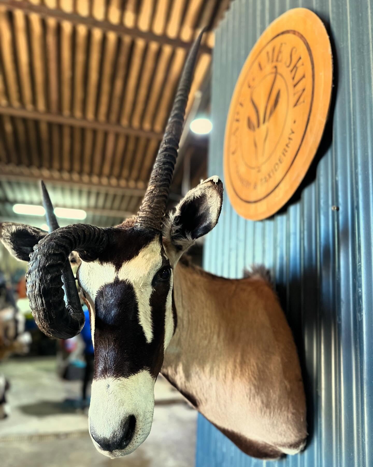 459059496_17914300778993868_2537472821678939365_n