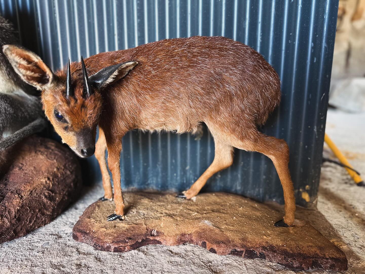 467546599_17923971371993868_1818406530238347405_n