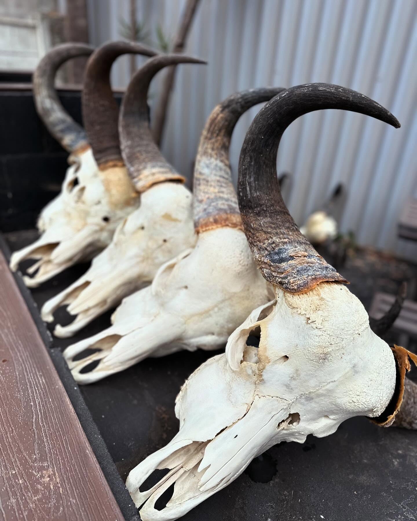 467571725_17923964066993868_5067128251042830447_n