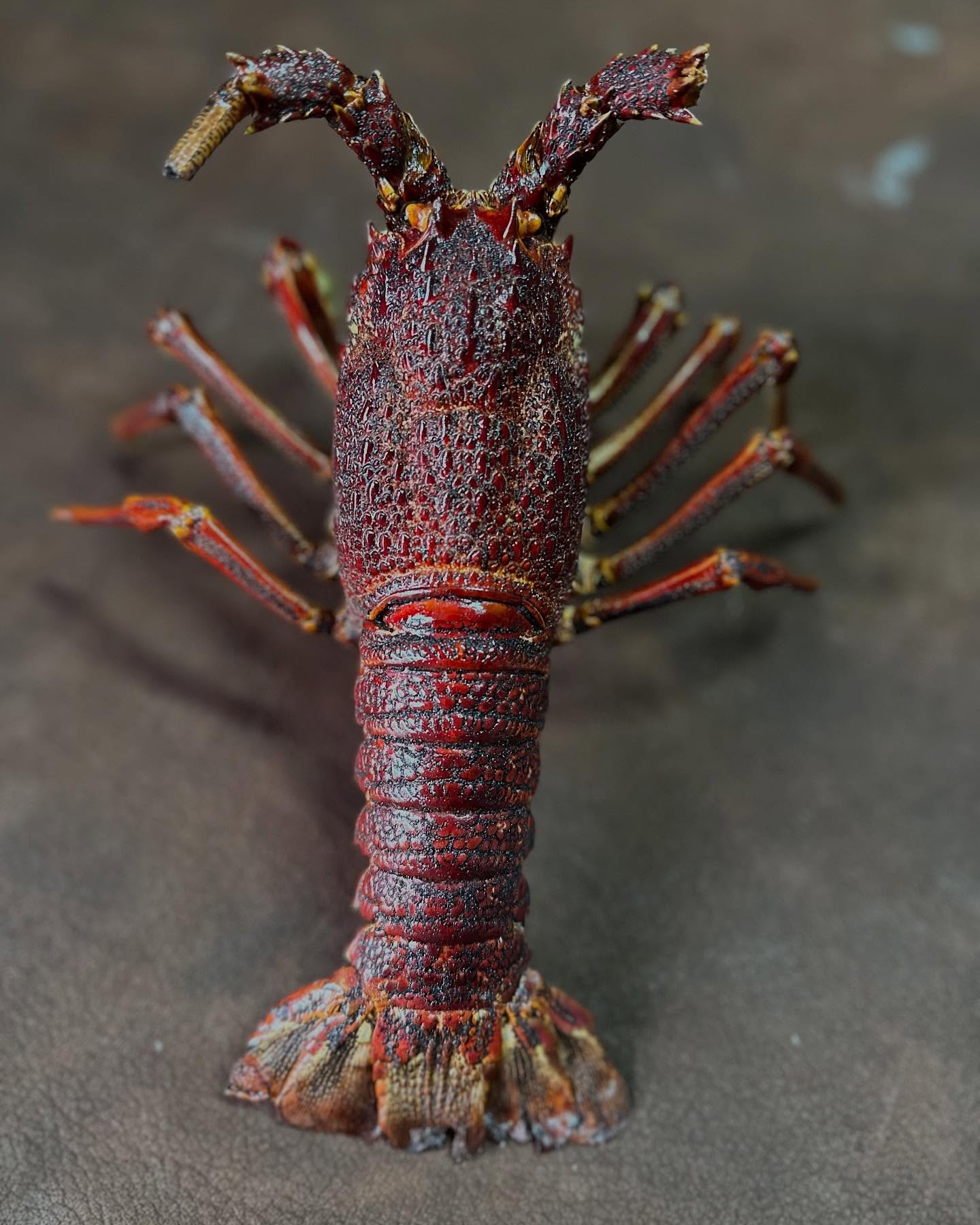 472706289_17936704001993868_4901499342242425833_n