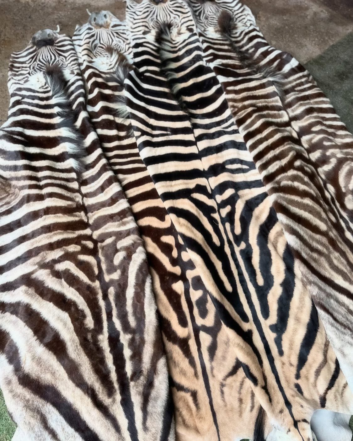 488850997_17940850082993868_4581775016004579994_n